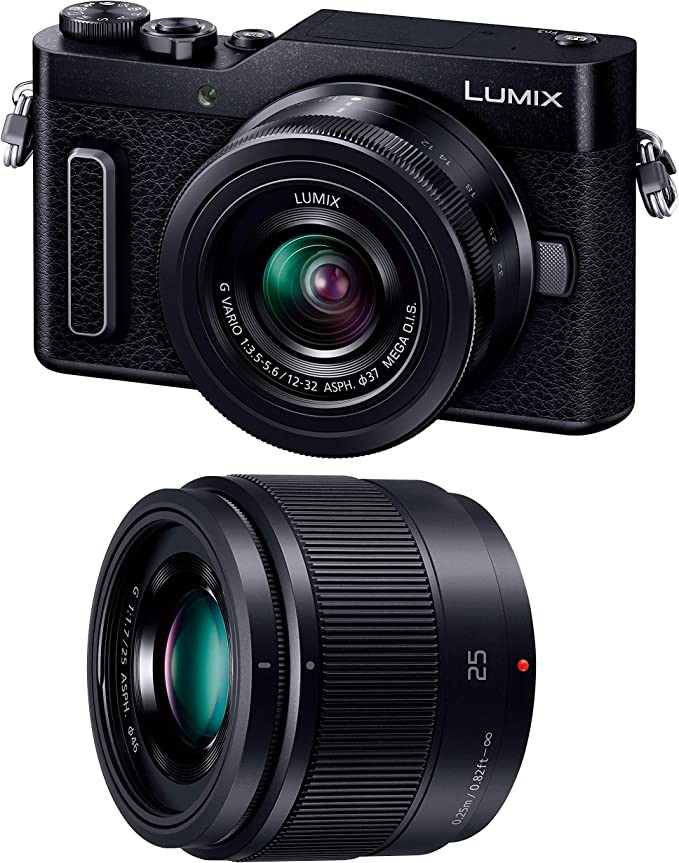 Panasonic Panasonic mirrorless interchangeable lens camera Lumix GF90 dual lens kit standard zoom lens / including single focus lens black DC-GF90W-K